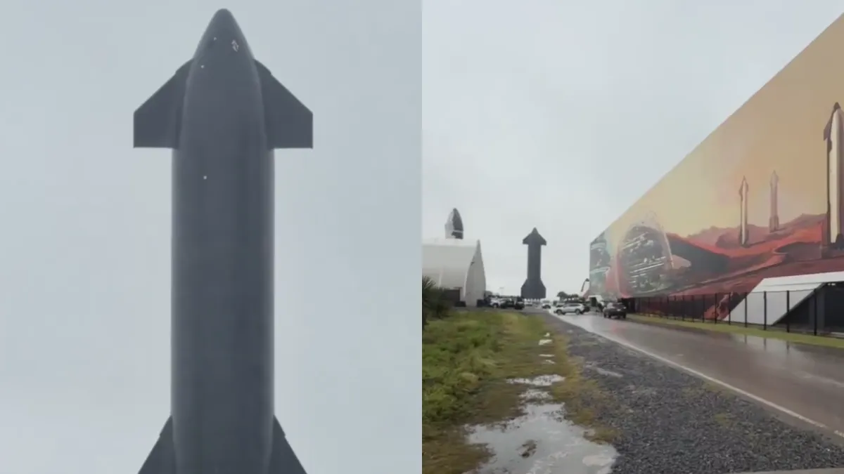 Rocket Garden