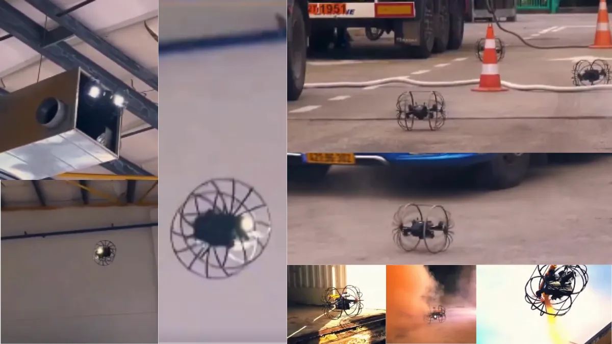 Rooster Drone