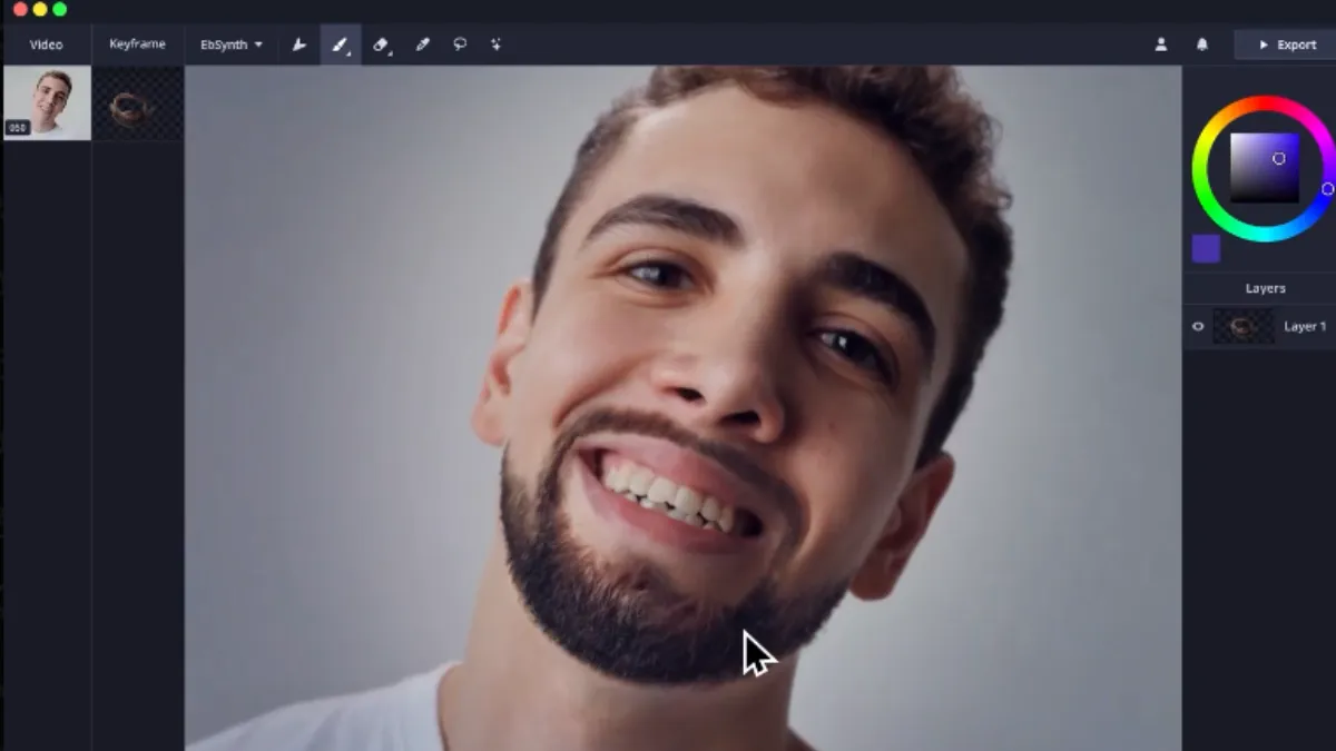 EbSynth V2, VFX software 2025, AI video editing alternative, video to animation tool, video touch-up software