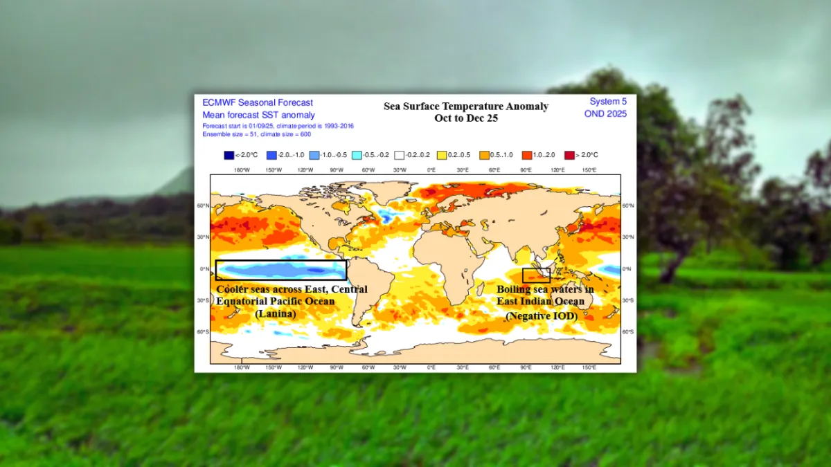 NeuralGCM monsoon prediction