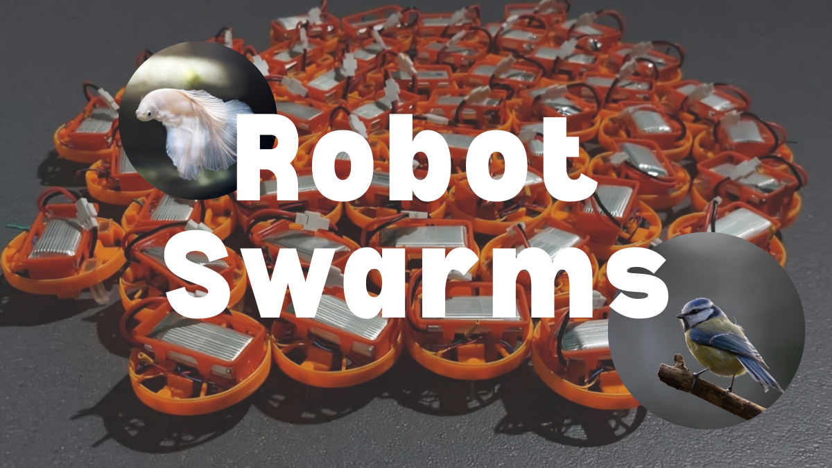 robot swarms coordination, nature inspired robotics, vision-based swarm robots, swarm AI research