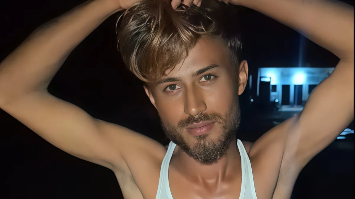 Tiger Shroff lookalike, AI वीडियो Tiger Shroff, viral video Tiger look-alike, AI lookalike controversy